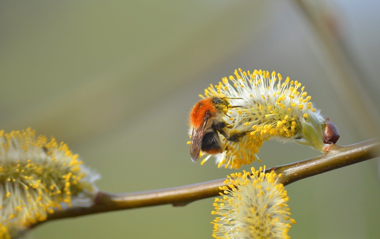 Malaysia Wealth Management 2026: Transforming Guidance, Frameworks, and Expansion in a Multifaceted Environment