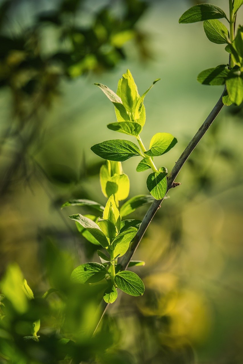 Malaysia's Investments Hit All-Time High
