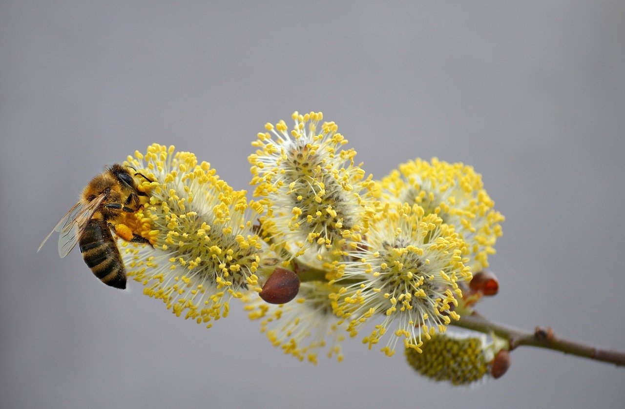 Malaysia's medicine inventory is currently stable; however, the primary supplier of the government has formed a task force in response to the risk of disruptions.