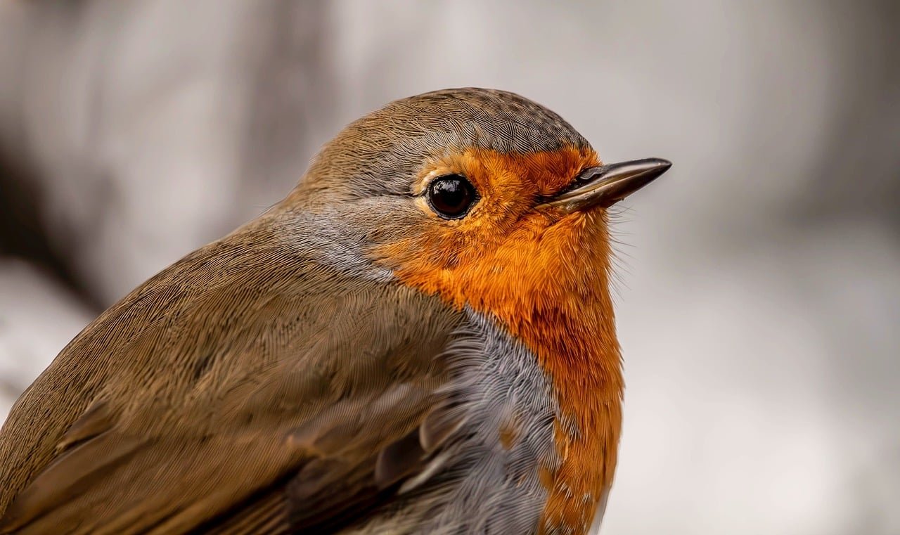 MTDC Launches RM20 Million Quantum Fund to Aid Technology Startups