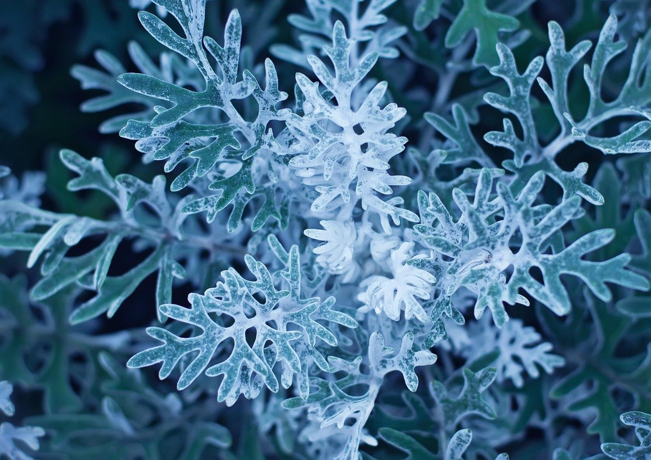 Oil prices poised to skyrocket following US-Israel strikes on Iran