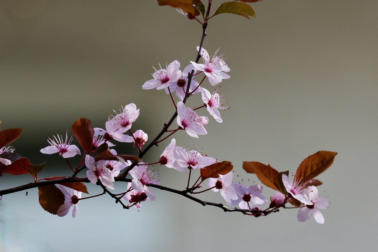 Reevaluating Household Water: The Truth About the Water Supply from Taps in Malaysia