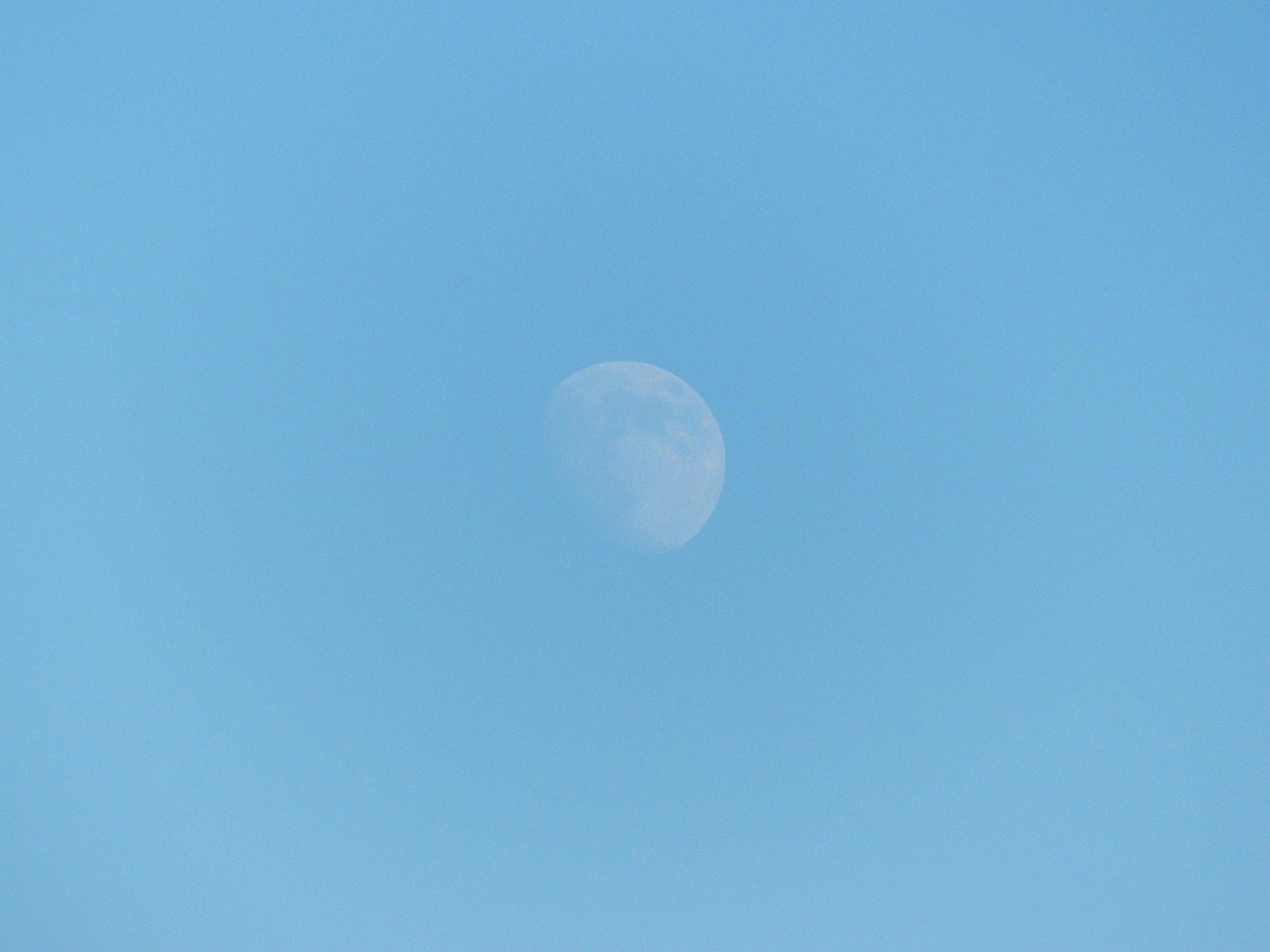 Reform treasurer Nick Candy held discussions with sanctioned-regime officials during his gold trip.