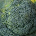 Russia Is Declining in Central Asia's Energy Sector Influence