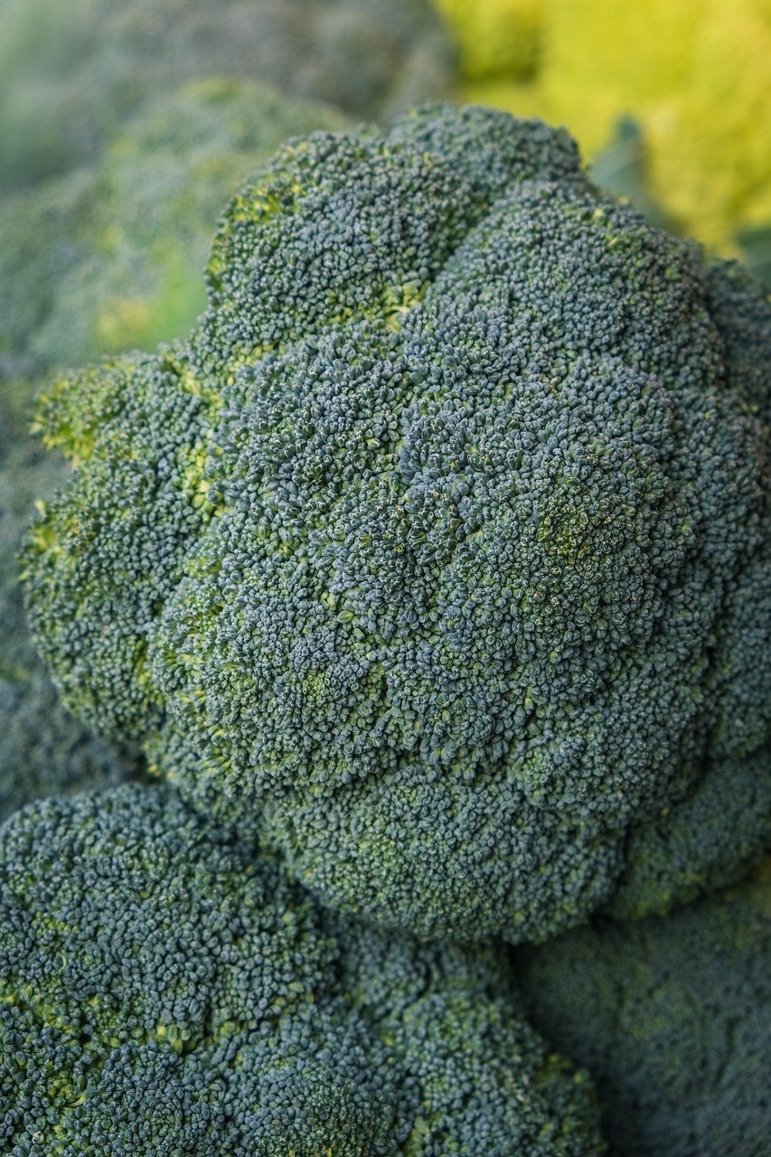 Russia Is Declining in Central Asia's Energy Sector Influence