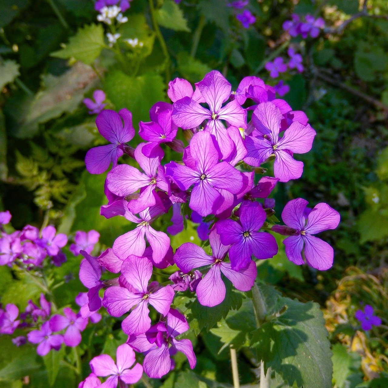 Silver Valuation Update: Friday, March 20, 2026