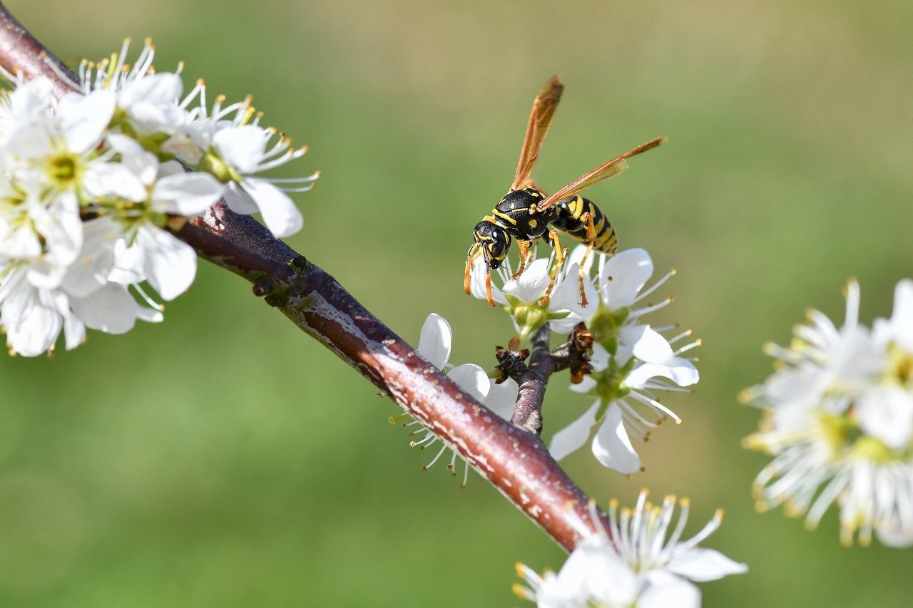 South Asia’s $107 Billion LNG Bet in Peril from Monetary and Energy Supply Hazards Due to Middle East Turmoil
