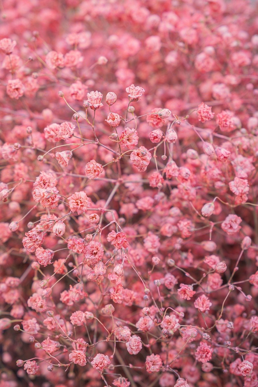 SSB Tax Does Not Diminish the Intake of Sugary Beverages: ISIS Malaysia