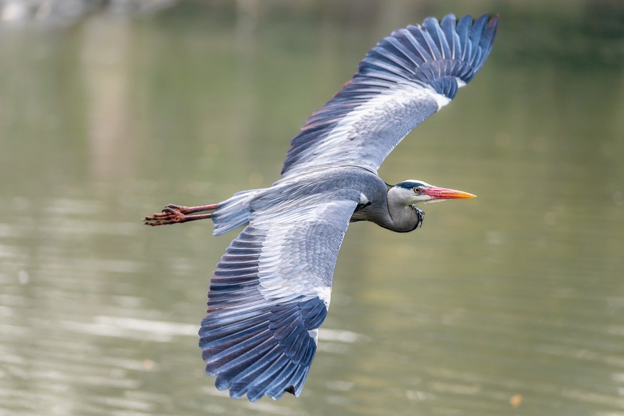 Tashkent Welcomes Central Asia – Italy – Azerbaijan Agro-Forum