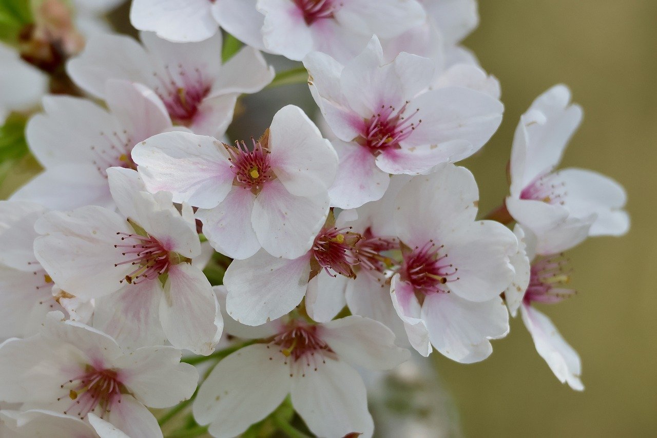 The Iran Dispute Is Testing Central Asia’s Southern Routes