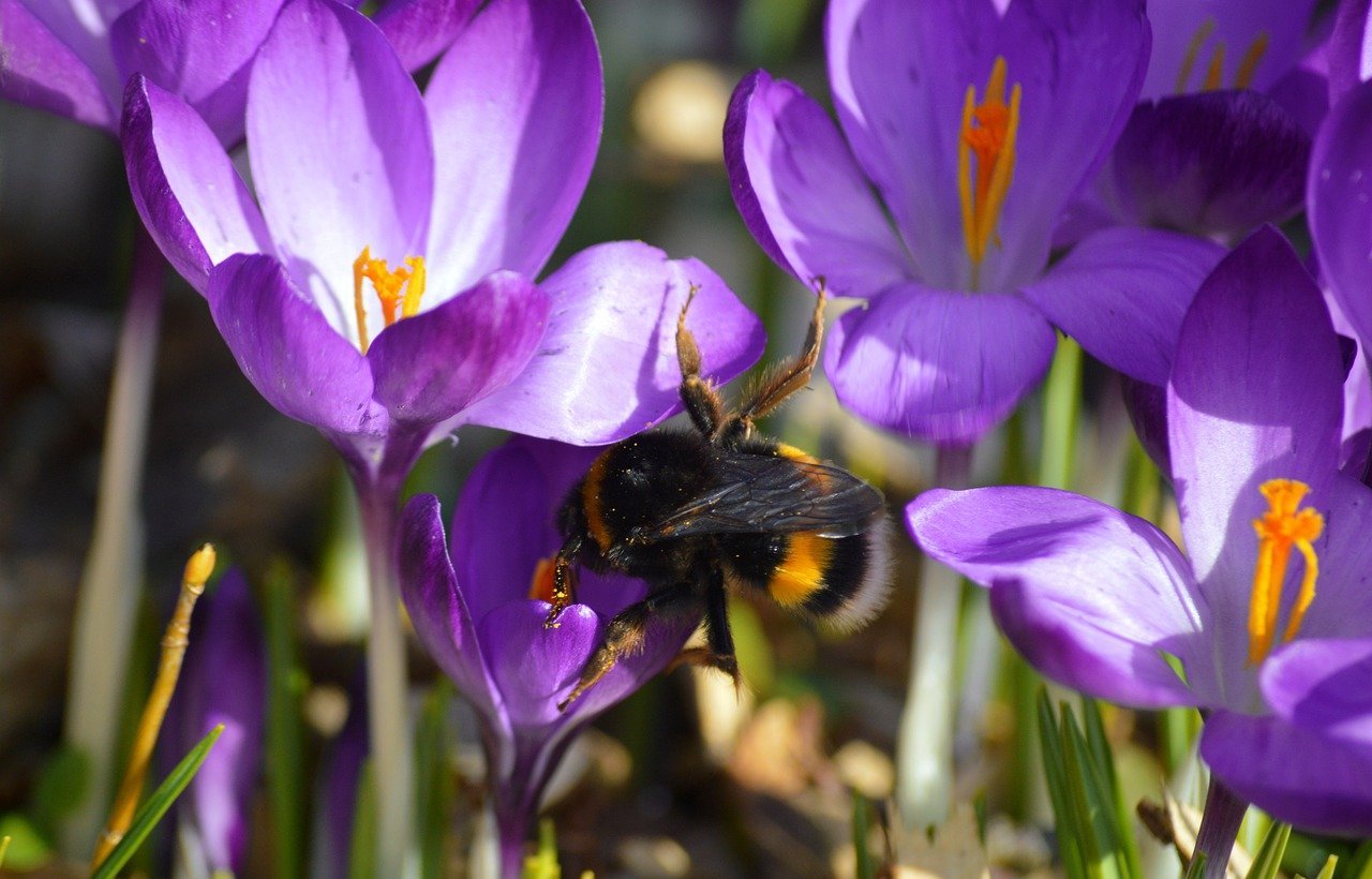 The Noise Dominating Malaysia's Authentic Story